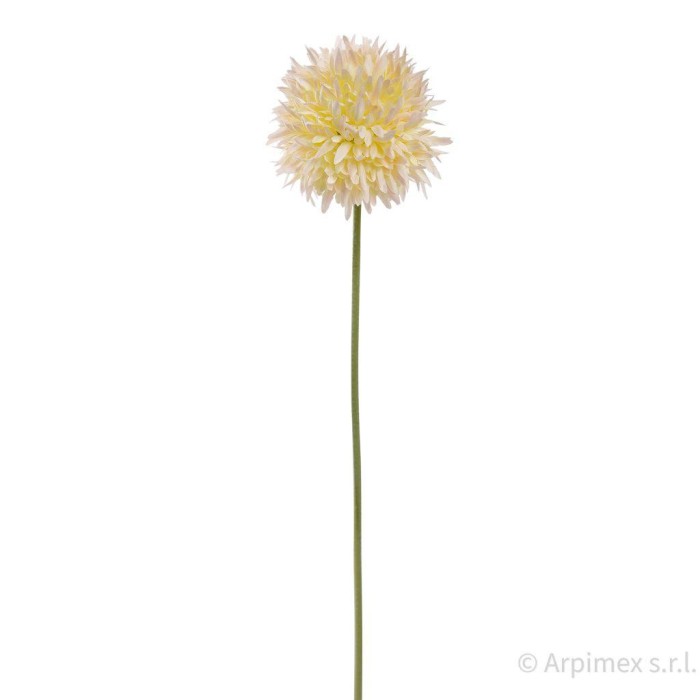 ALLIUM CM.45 TEA